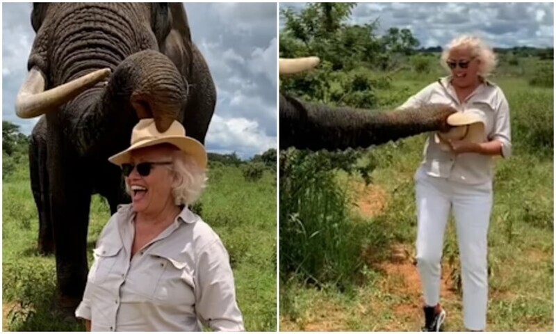 Туристка делала фото со слоном - а тот решил подшутить