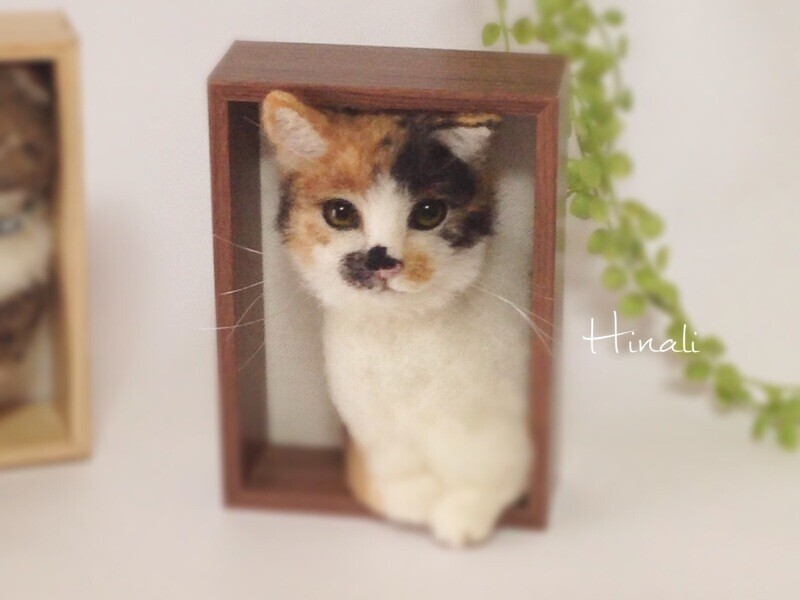 Войлочные кошки от японской художницы Hinali, невероятная реалистичность!