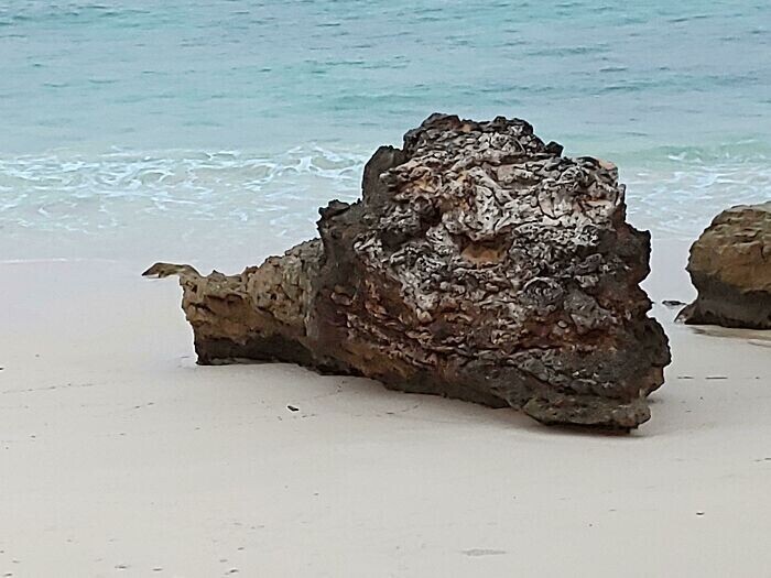 Камень на берегу выглядит как голова дракона