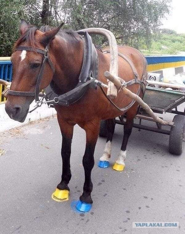 Гиперлуп в Венскую оперу