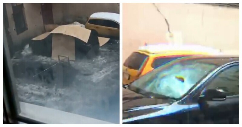 Питерские коммунальщики бережно прикрыли машину картоном, прежде чем разбить её снегом
