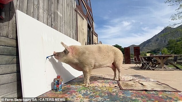 Свинья нарисовала картину, которую продали за рекордную сумму