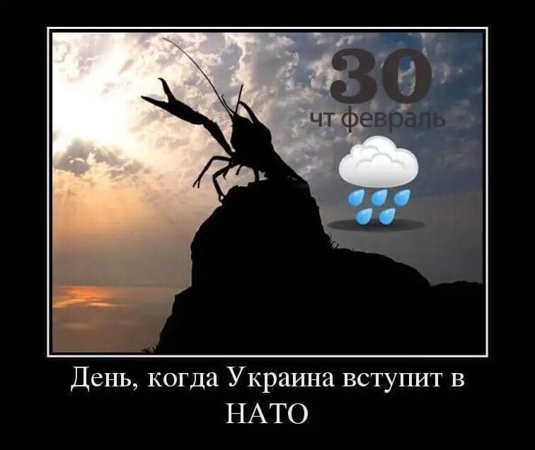 О политике и не только