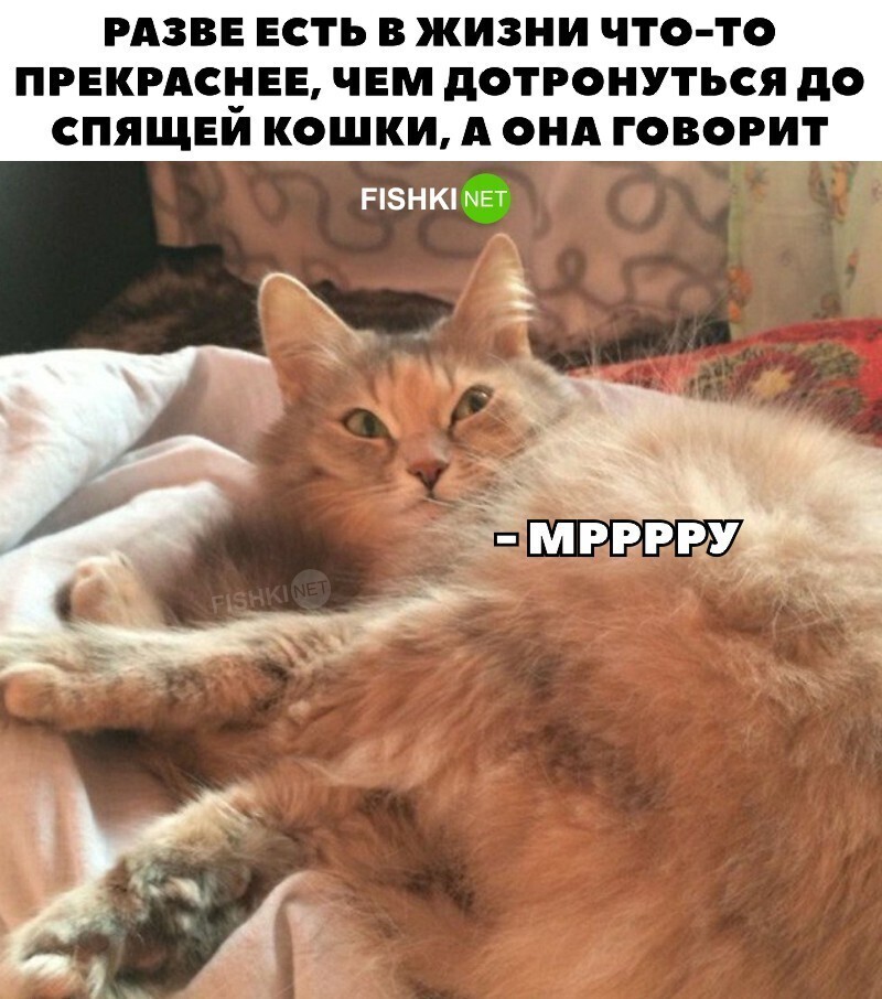 Минутка милости