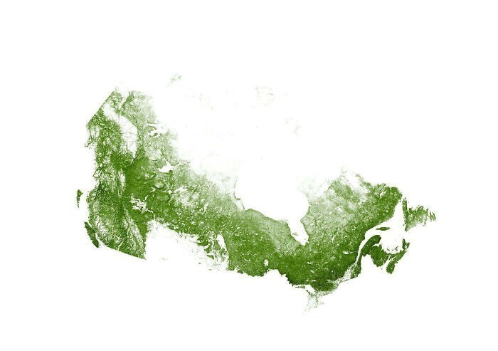 17. Карта лесов Канады