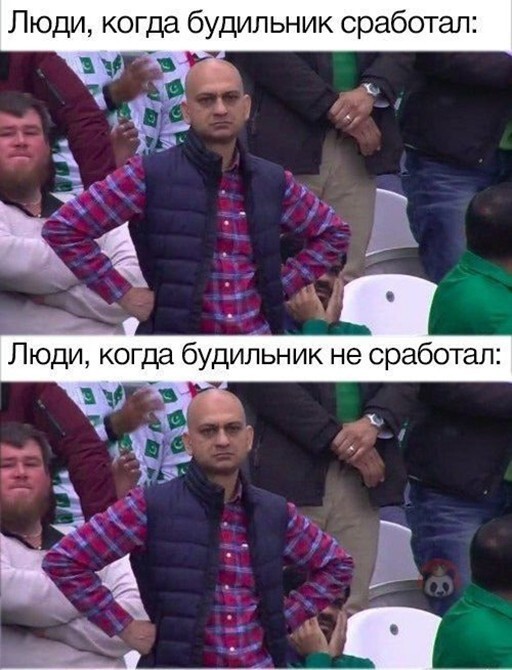 Смешные и познавательные картинки