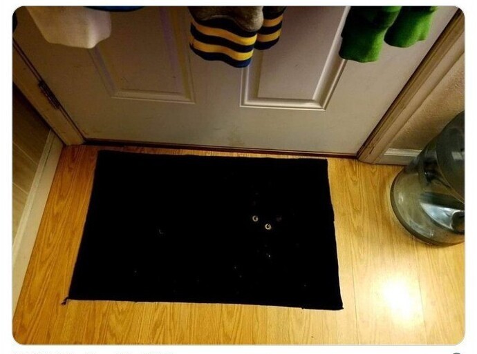 Не покупайте черный коврик в дом, где живет черный кот!