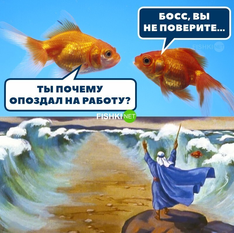 И ведь не поверят же...