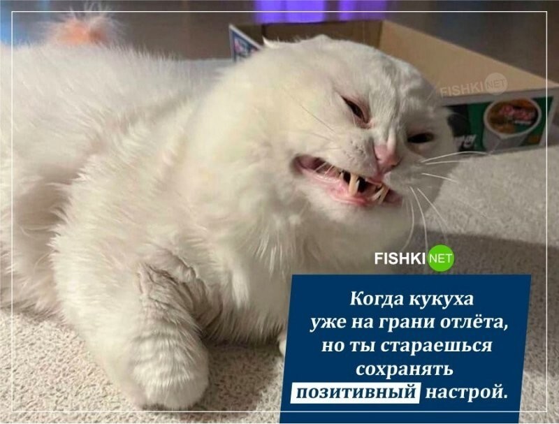 Когда у тебя биполярочка 