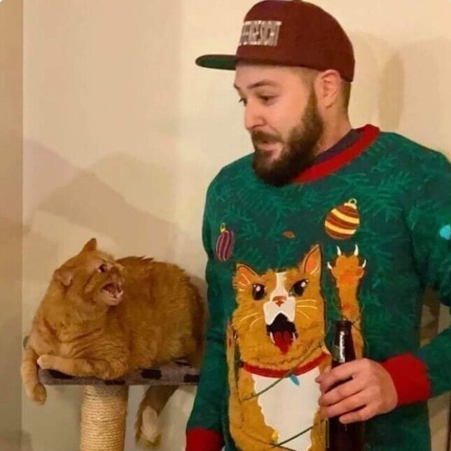 "Котейка не очень доволен моим свитером"