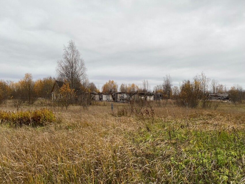 В глухой и безлюдной тайге на Севере нашли заброшенную зону - жутковатое местечко