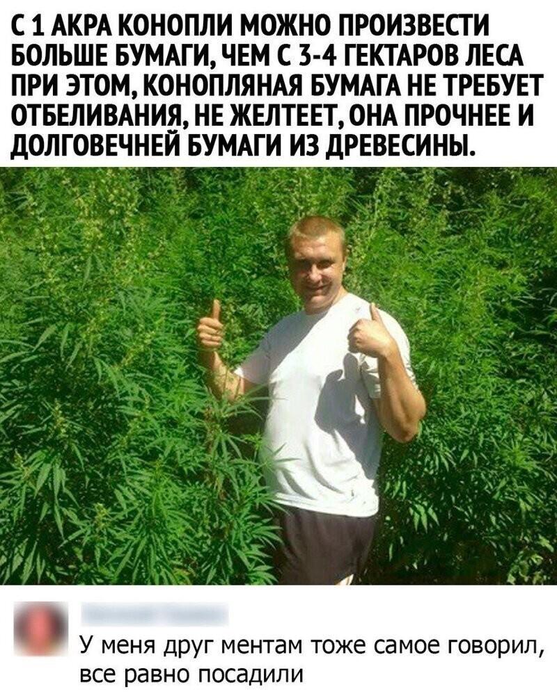 Немного всякого юмора