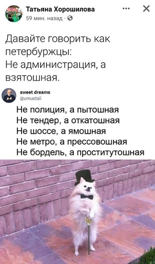 Смешные и познавательные картинки