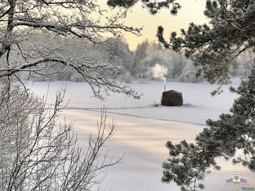 Солянка от 25.12.2021