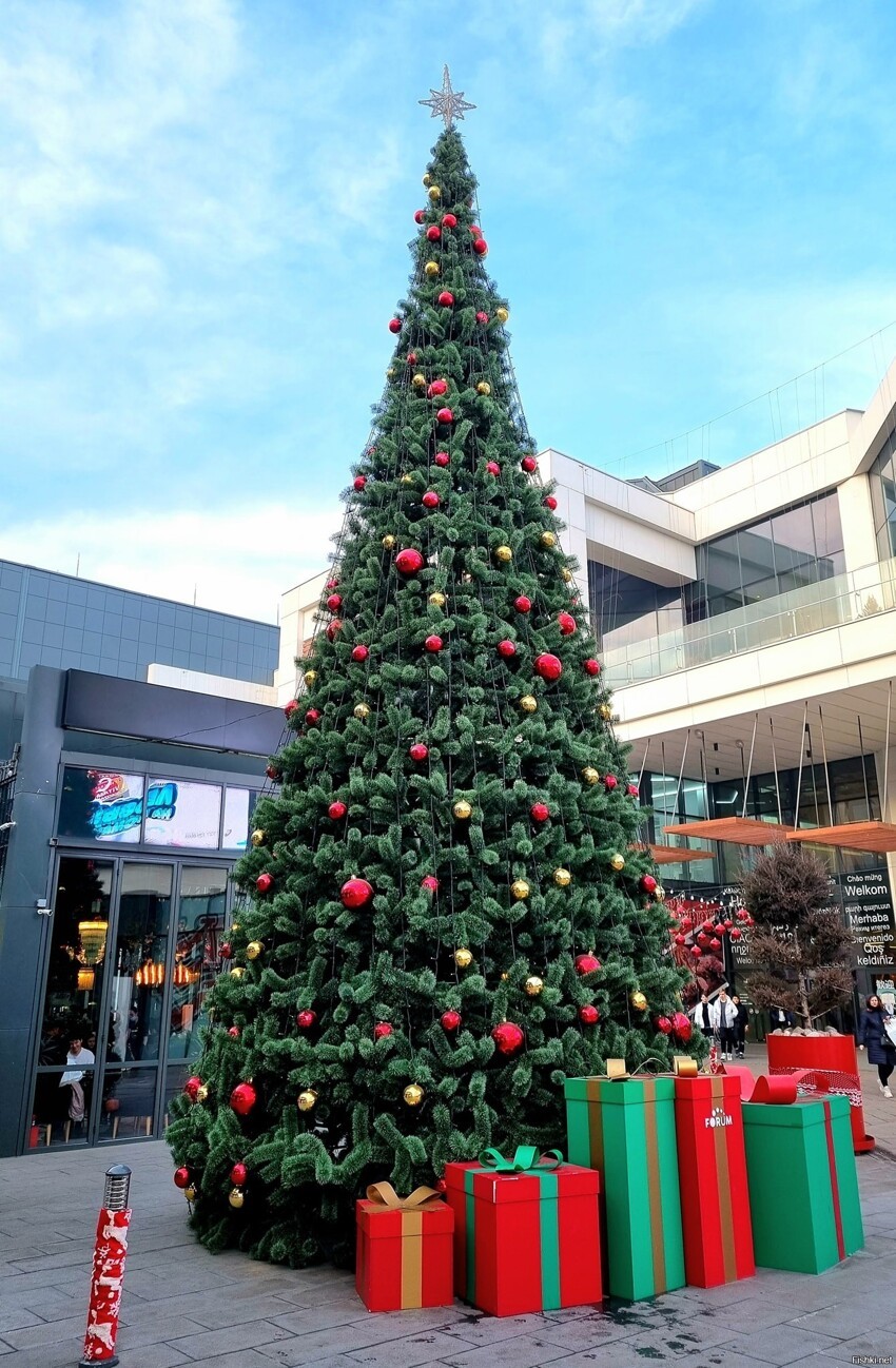 Немного новогоднего настроения из южной столицы Казахстана