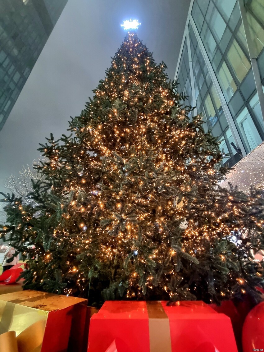 Немного новогоднего настроения из южной столицы Казахстана