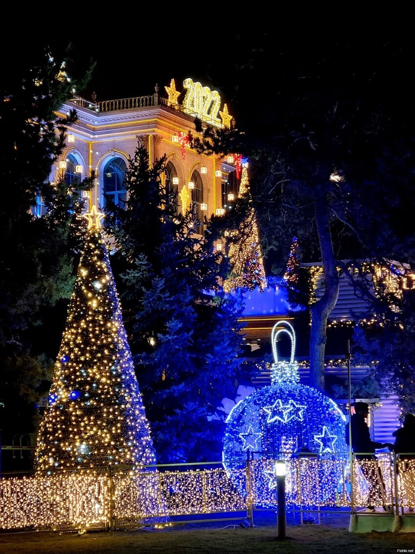 Немного новогоднего настроения из южной столицы Казахстана