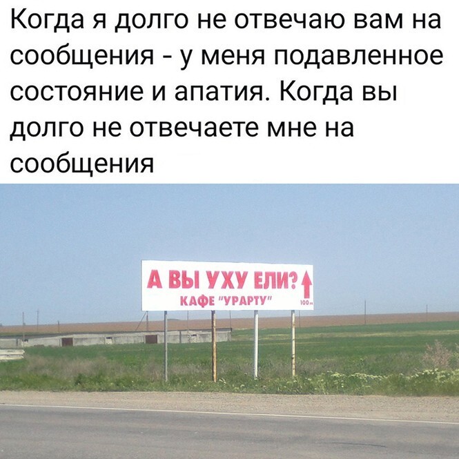 Смешные и познавательные картинки