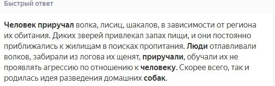 Именно собаки, как конкурентное преимущество, помогли сапиенсам забороть неандертальцев