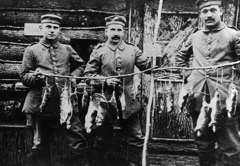 3. Трое немецких солдат показывают крыс, убитых в окопах накануне ночью, 1916 год.