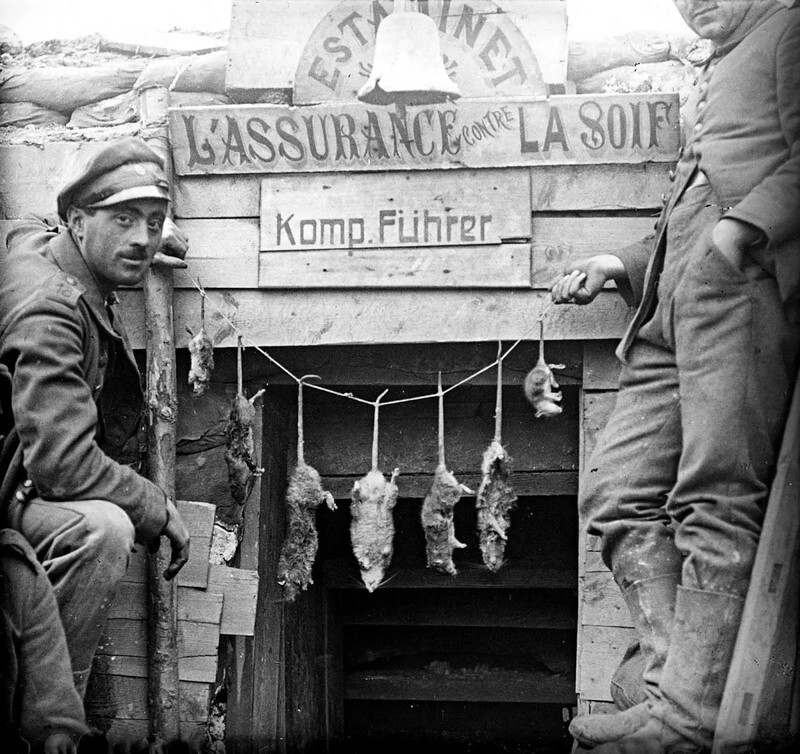 2. Двое немецких солдат позируют с пойманными в окопах крысами.