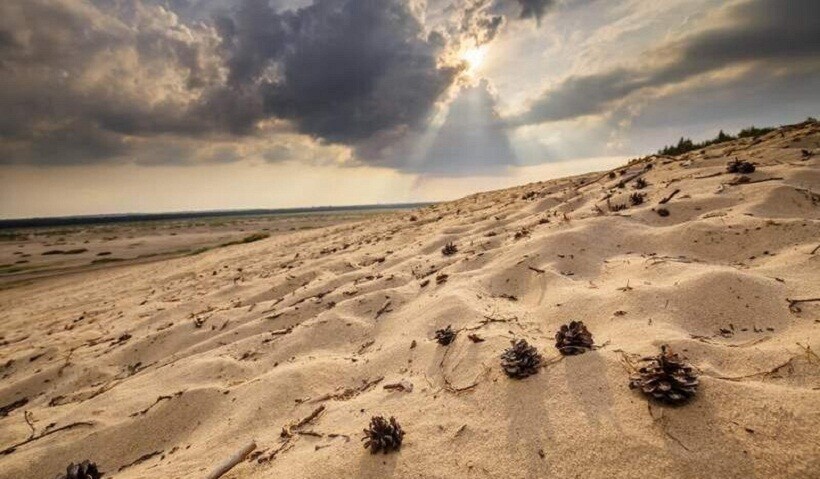 15 фото настоящей пустыни в Польше: откуда она там взялась?