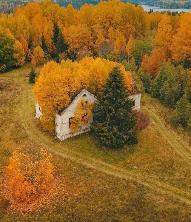 17 фотографий заброшенных мест, которые пугают и манят своей мистической атмосферой