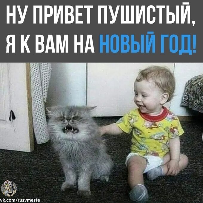 Небольшой вечерний полит. стёб