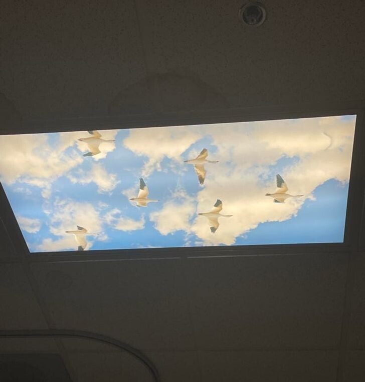 Необычные светильники в больнице