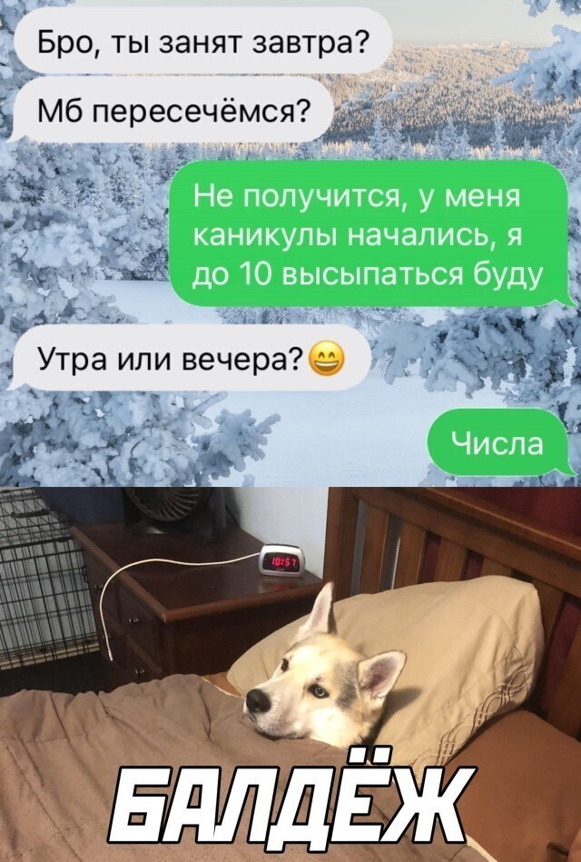 Эти непоседливые соседи