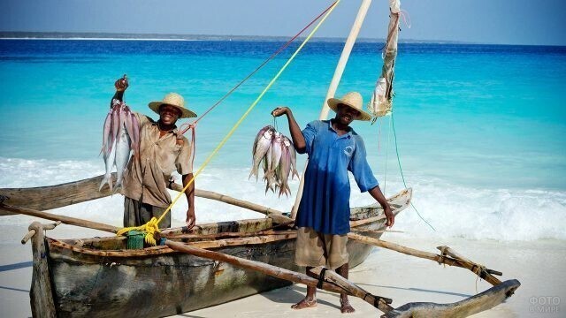 Аборигены с уловом рыбы на пляже Занзибара.