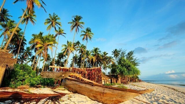 Лодка под пальмами на пляже.