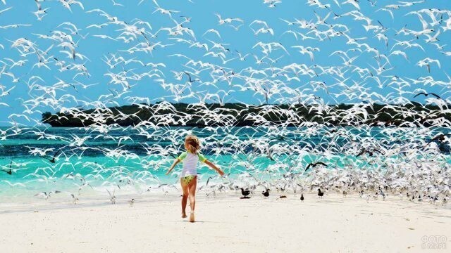 Девочка бежит за стаей птиц над пляжем.