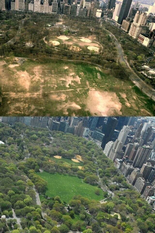 Central Park, Нью-Йорк, 1980 - 2015 гг.