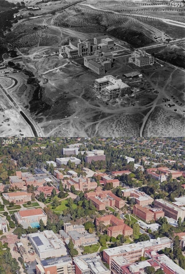 Калифорнийский университет, Лос-Анджелес, 1929-2016