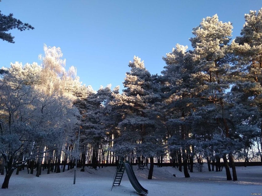 А в Минске по-прежнему прекрасная морозная погода