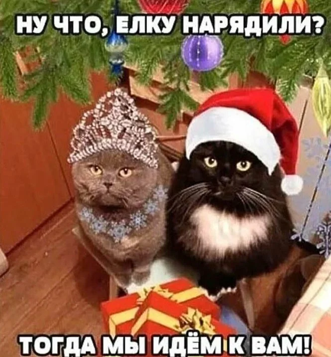 4f79f56053b8db301992b74bafb88471.jpg.web