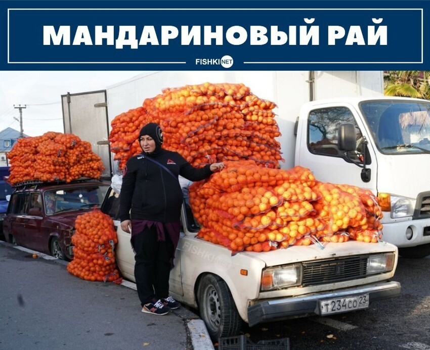 Мандариновый рай