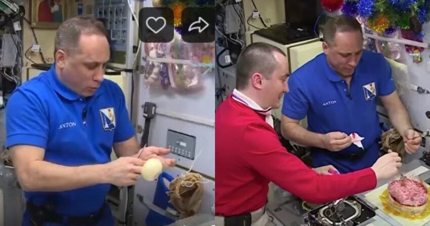 "Смак" в невесомости: российские космонавты показали, как готовят селедку "под шубой"