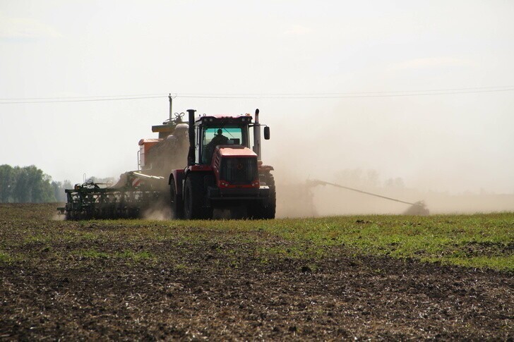 В Кузбассе почти 25 тыс. га брошенных земель вернули в сельхозоборот в 2021 году