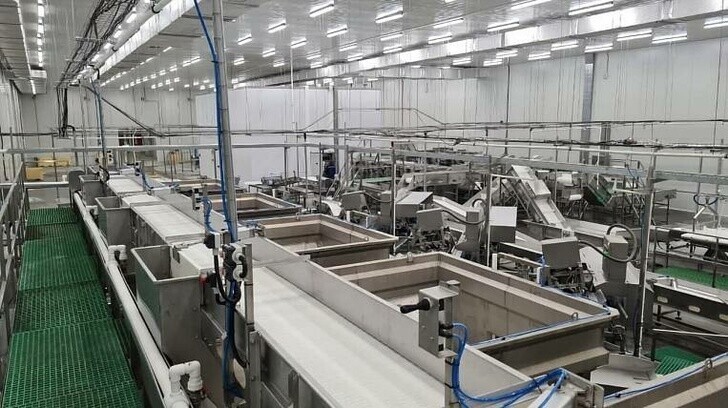 Новый рыбоперерабатывающий завод открыли на Камчатке