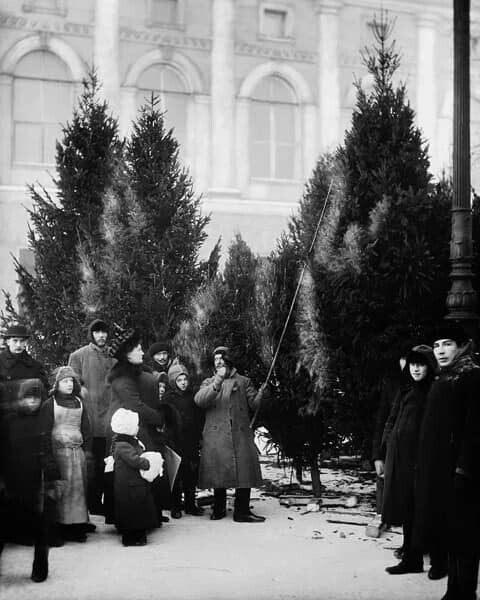 Елочный базар в саду Аничкова дворца, 1913 год . Фото Карл Булла. Санкт - Петербург , Невский проспект