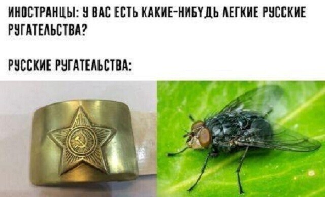 В лесу родилась ёлочка, а рядом с нею пень