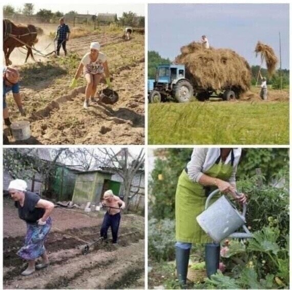 Если вам позвонят и позовут в деревню отдыхать не ведитесь это мошенники картинка