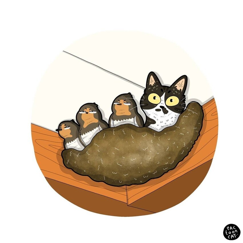 Художник превращает котов из мемов в забавные рисунки