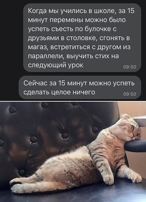 Смешные и познавательные картинки