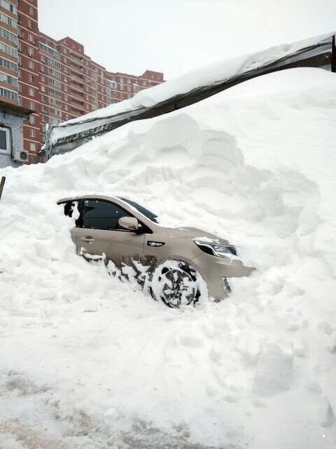 Автовсячина