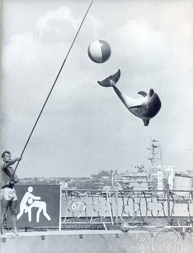Виртуозный прыжок! 1989 год, Севастопольский дельфинарий, фото В. Златомрежев