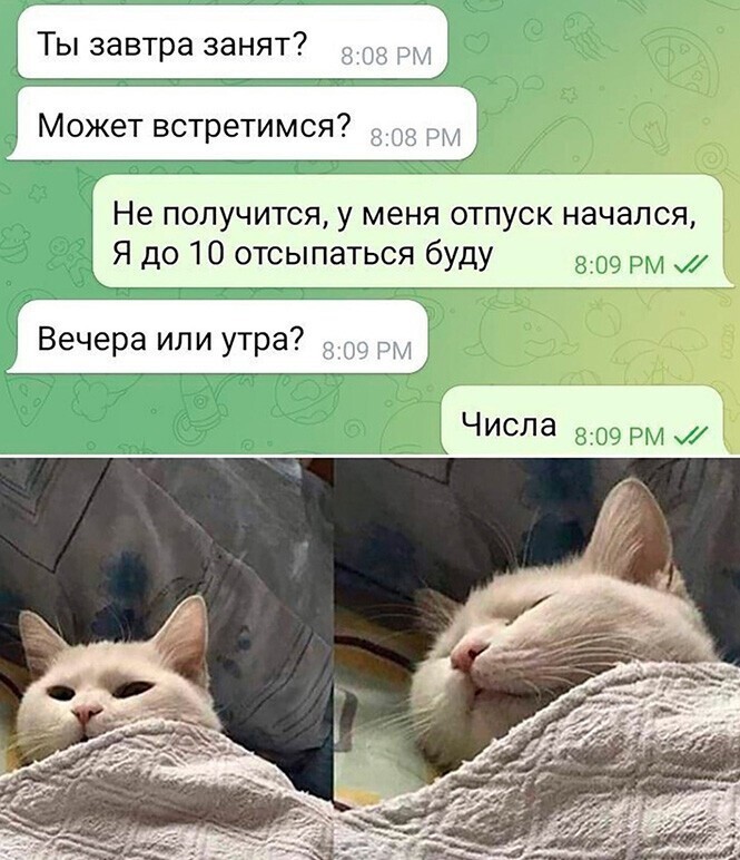 Смешные и познавательные картинки