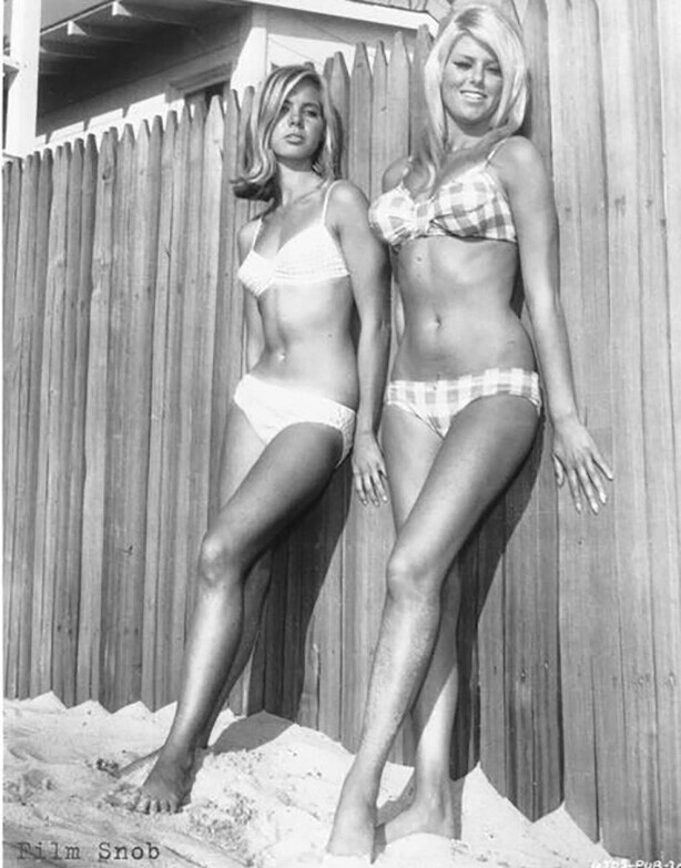Мэри Стёрдивант и Мэри Хьюз "Пляжное одеяло Бинго" 1965 г.